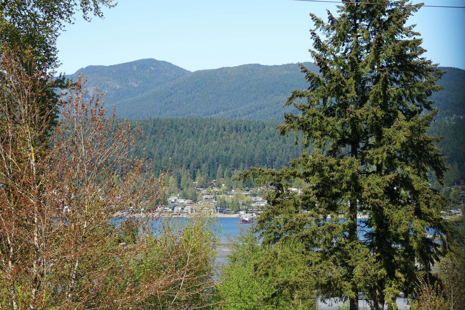 Listing Image 20