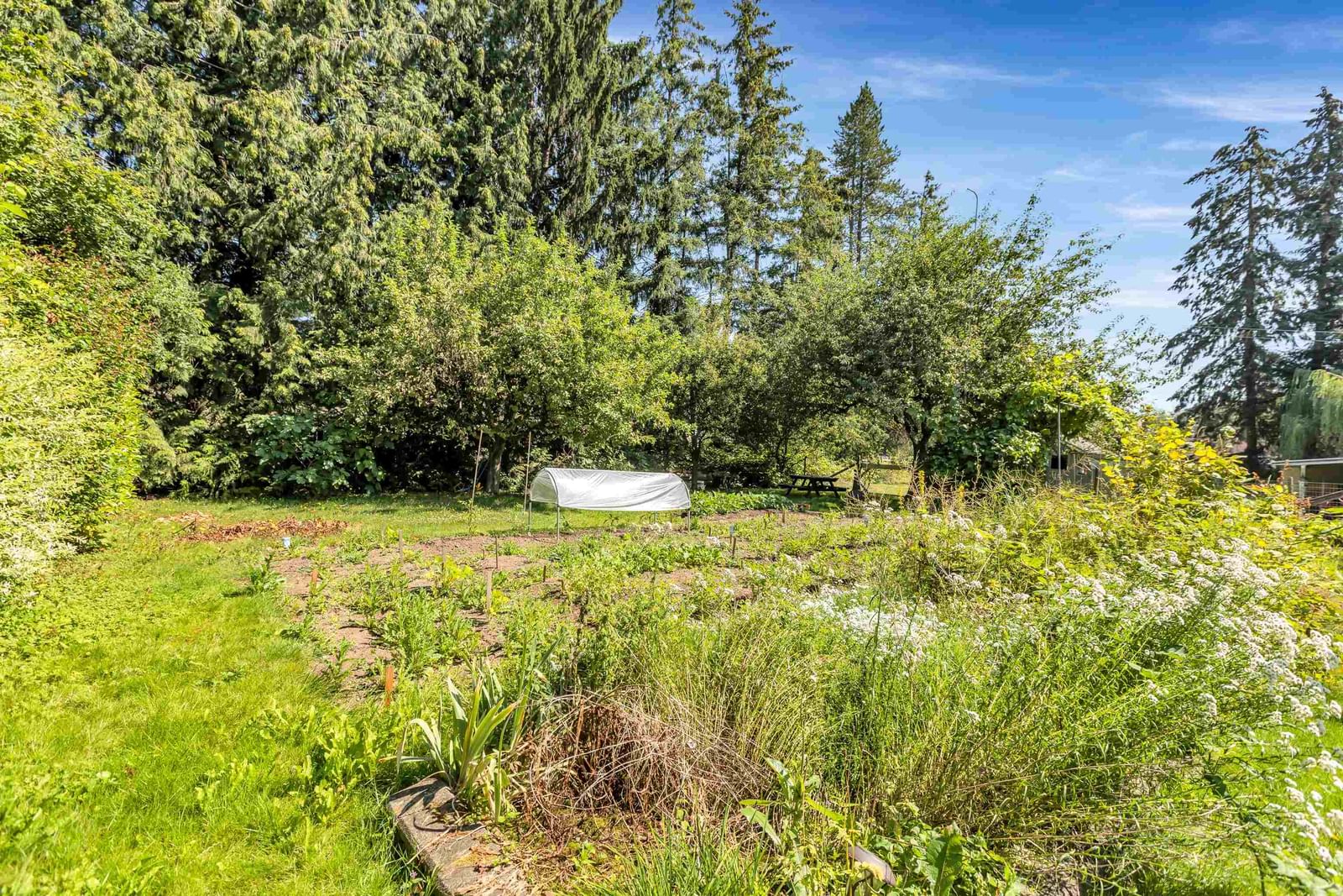 Listing Image 34