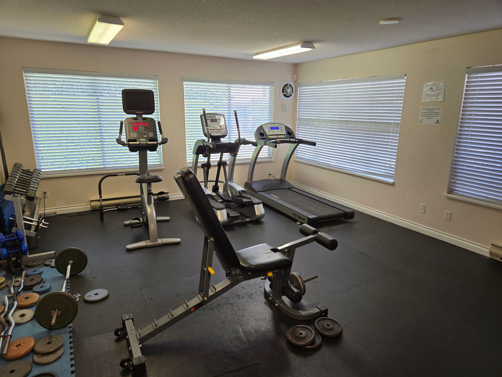 Listing Image 6