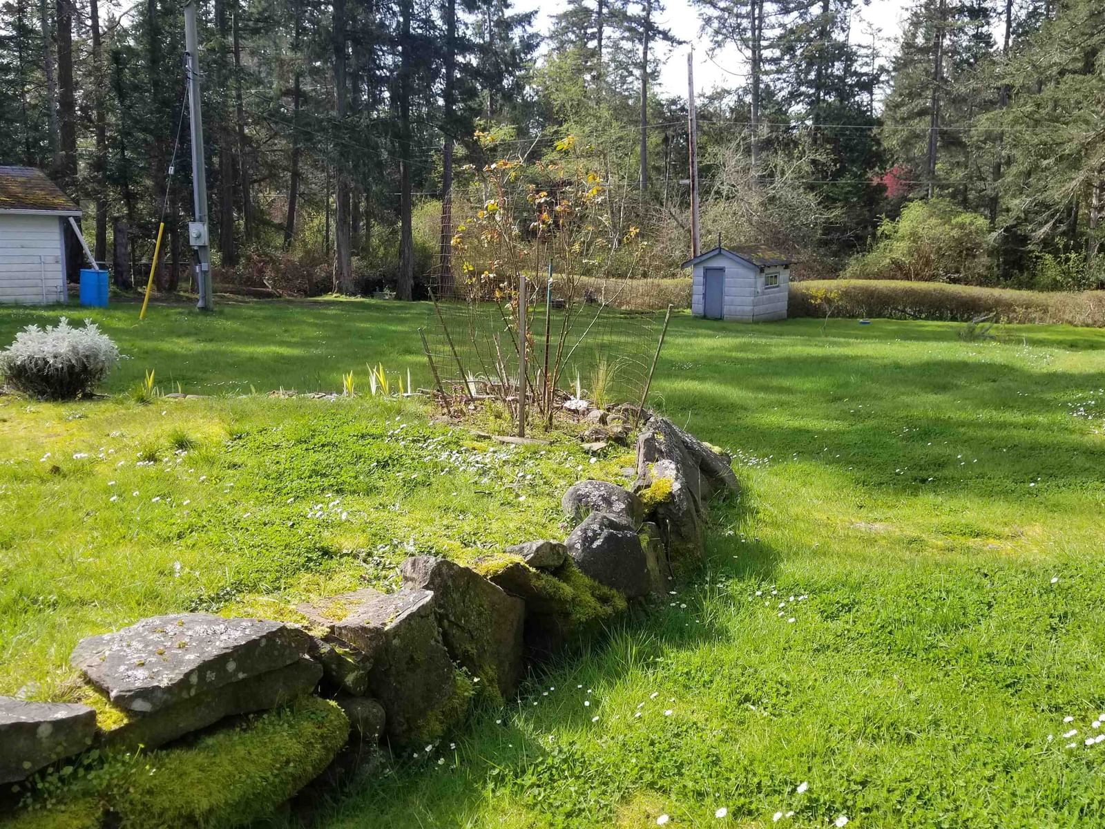 Listing Image 32