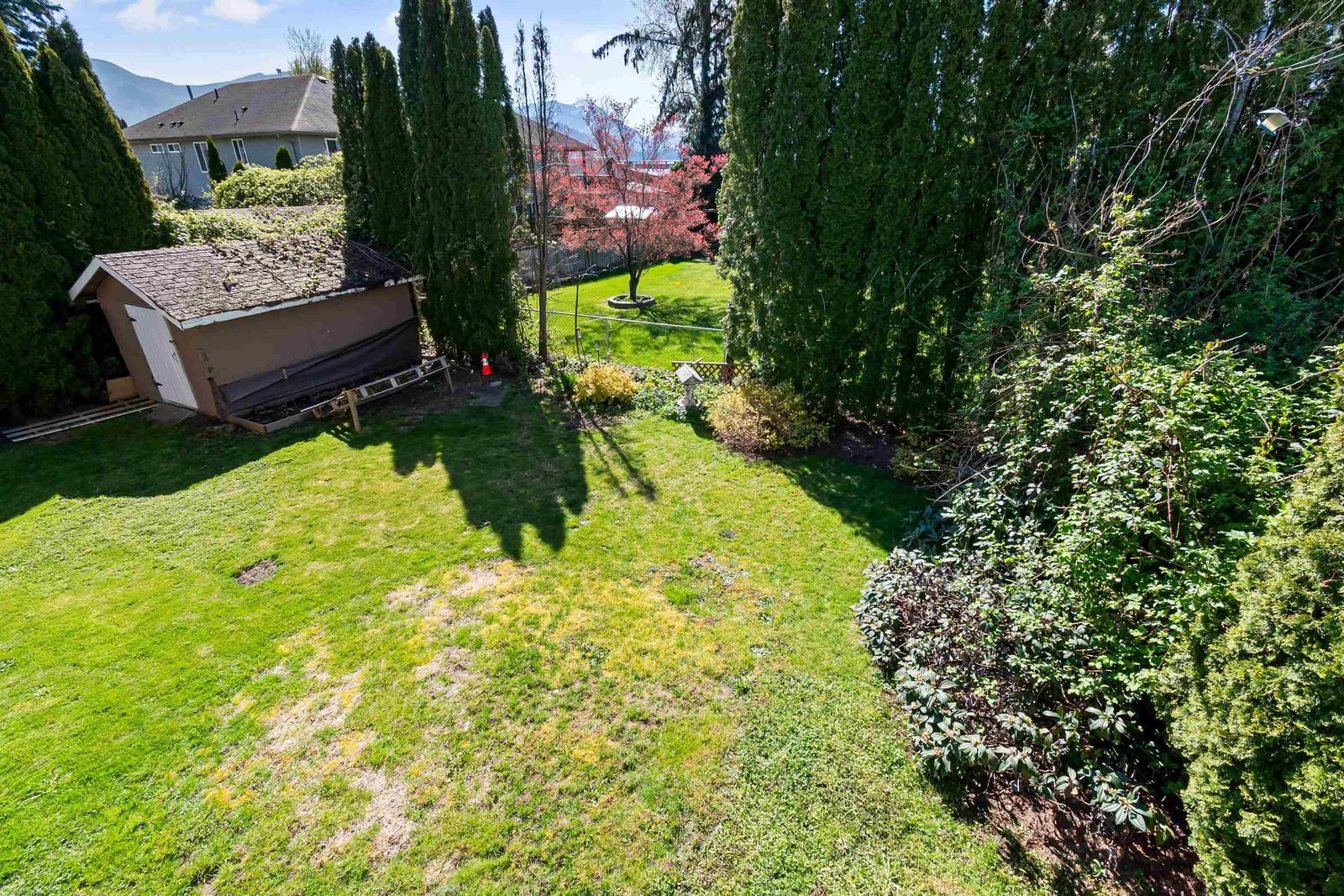 Listing Image 10