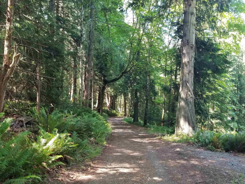 LOT A Lord Road