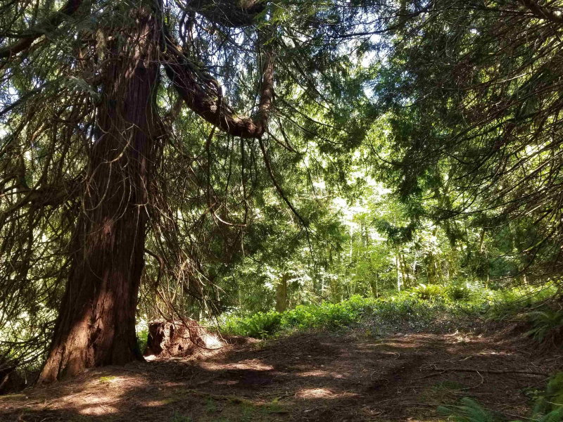 LOT A Lord Road