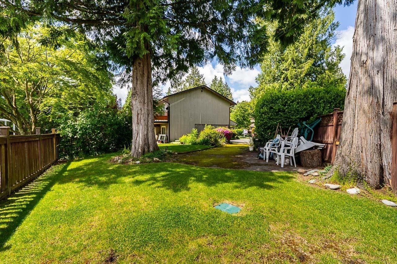 Listing Image 35