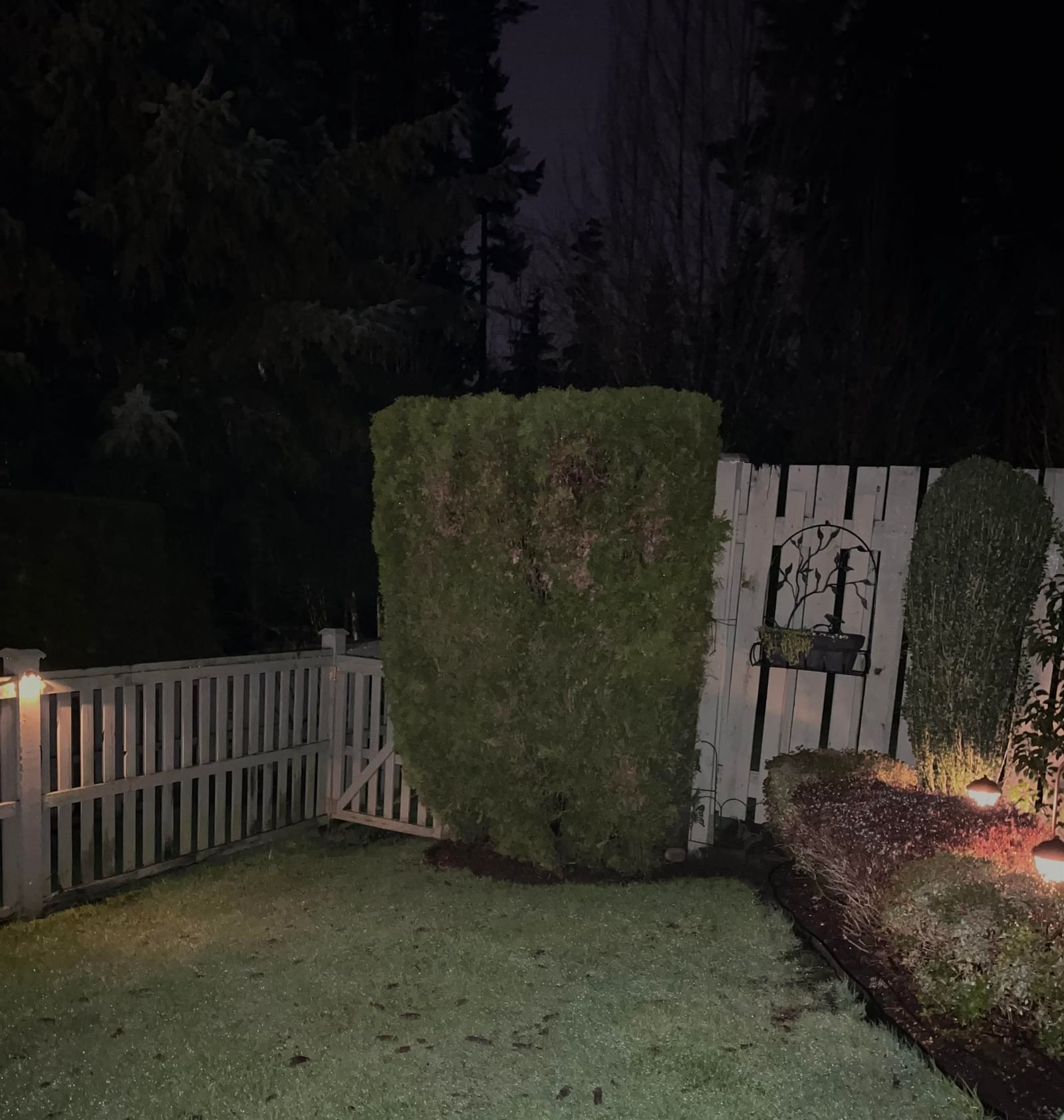 Listing Image 25