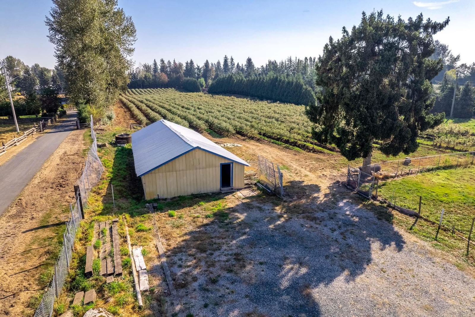 Listing Image 9