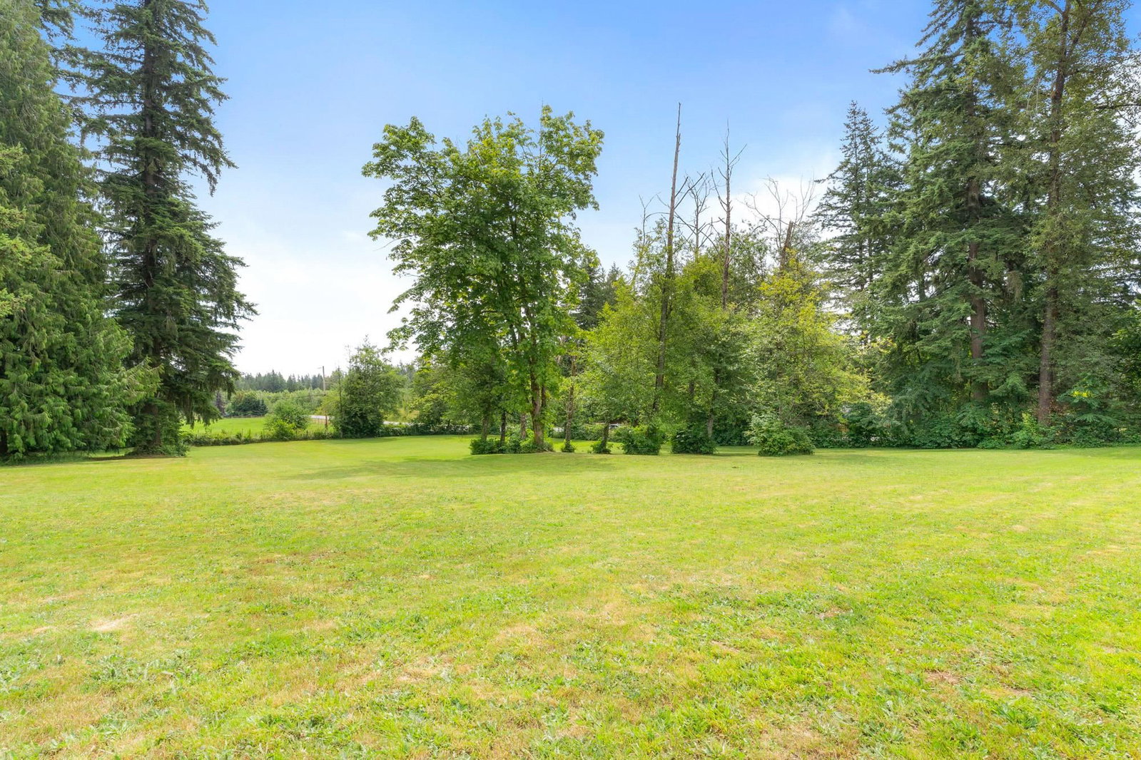 Listing Image 37