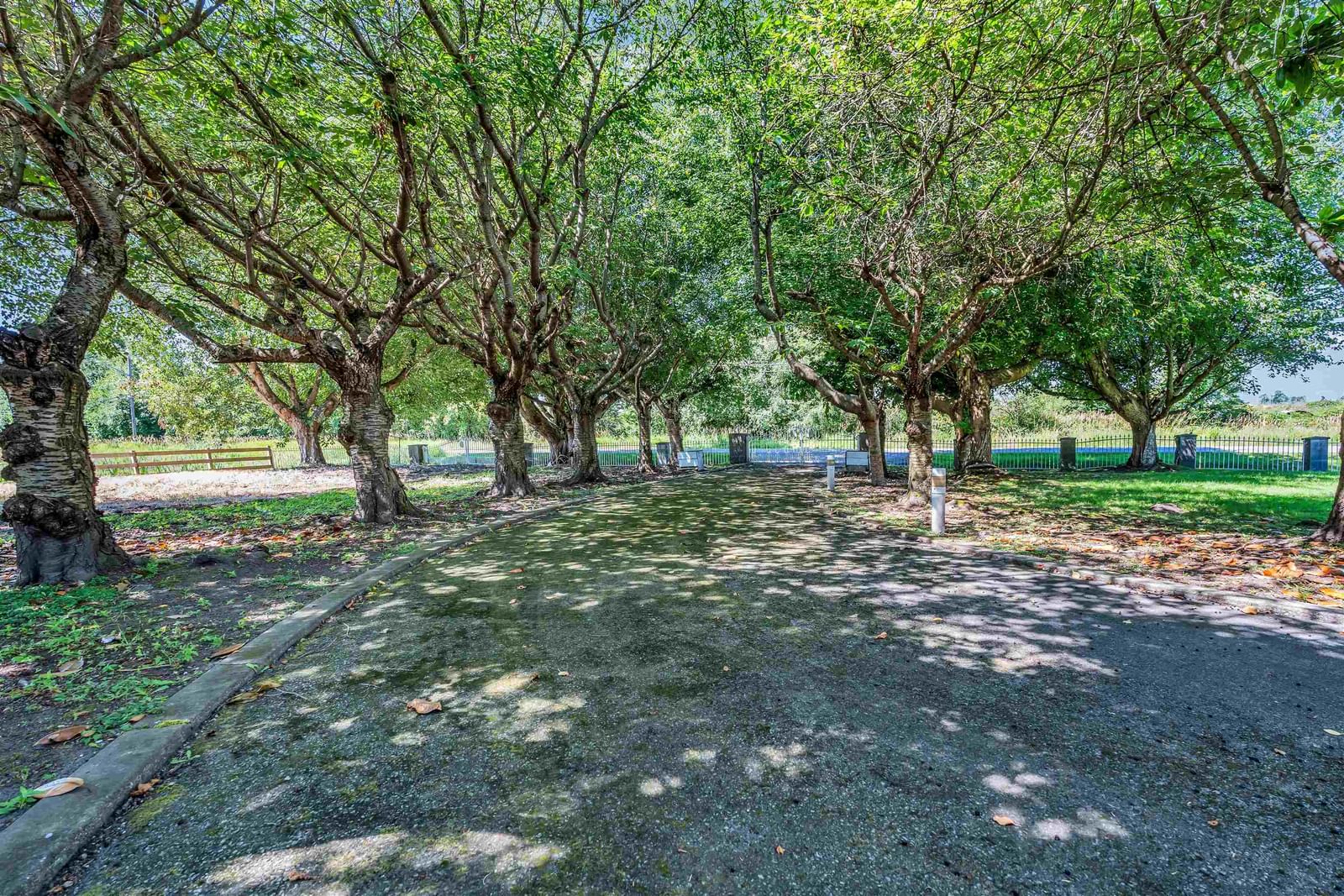 Listing Image 37