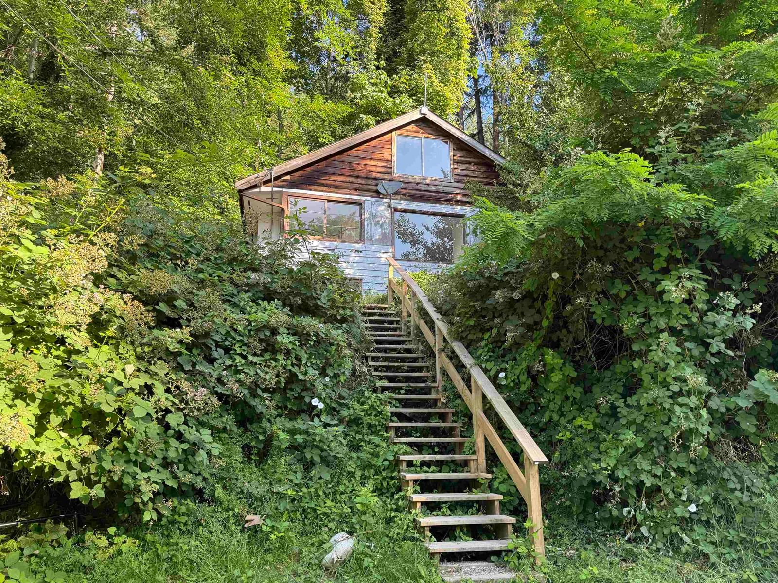 Listing Image 6
