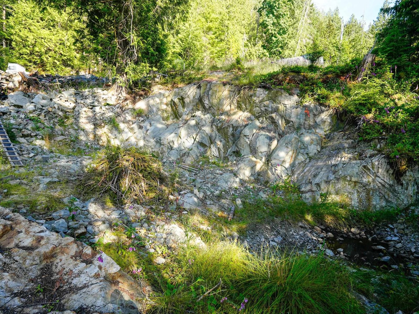 Listing Image 14