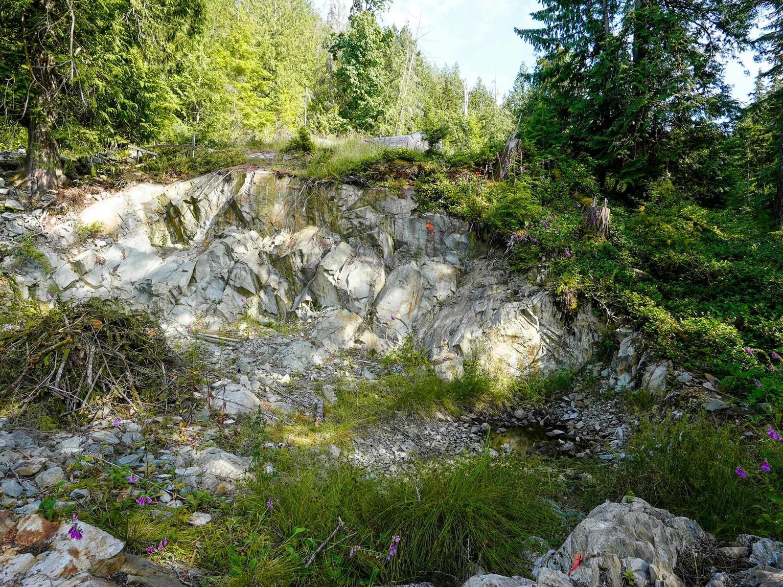 Listing Image 14