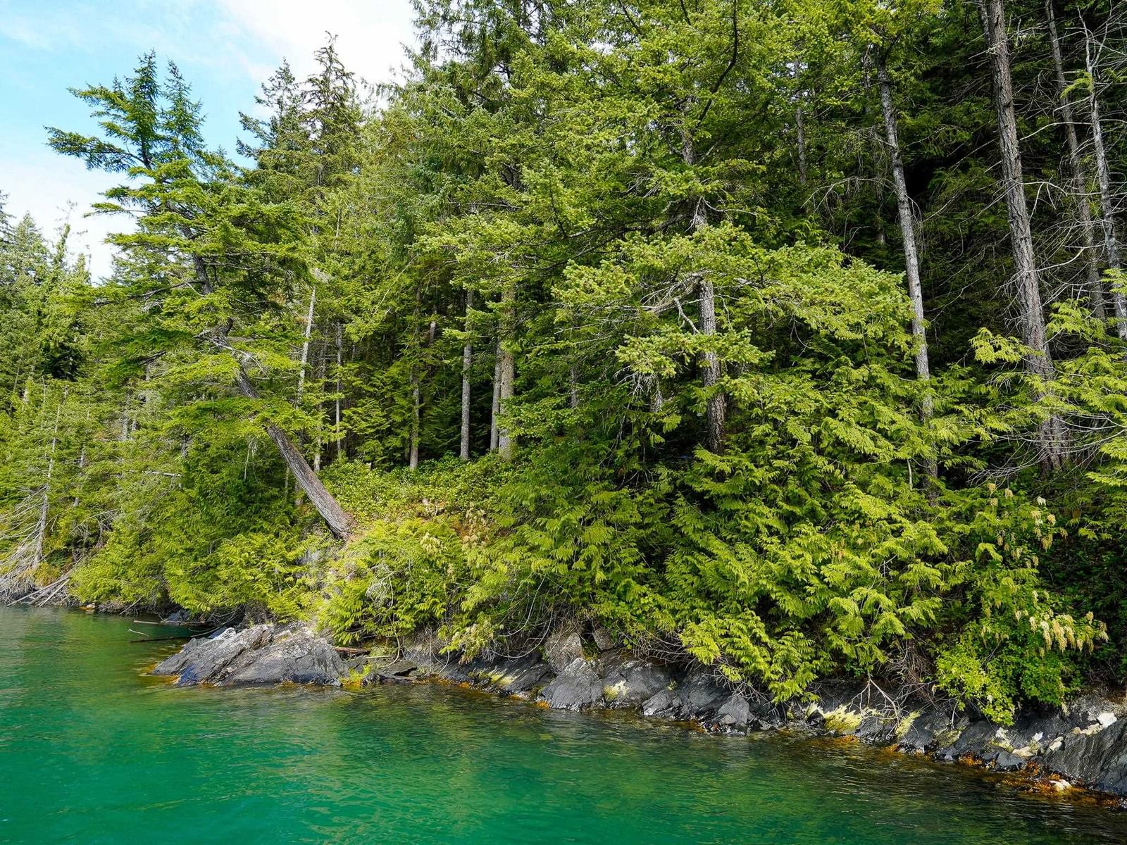 Listing Image 17