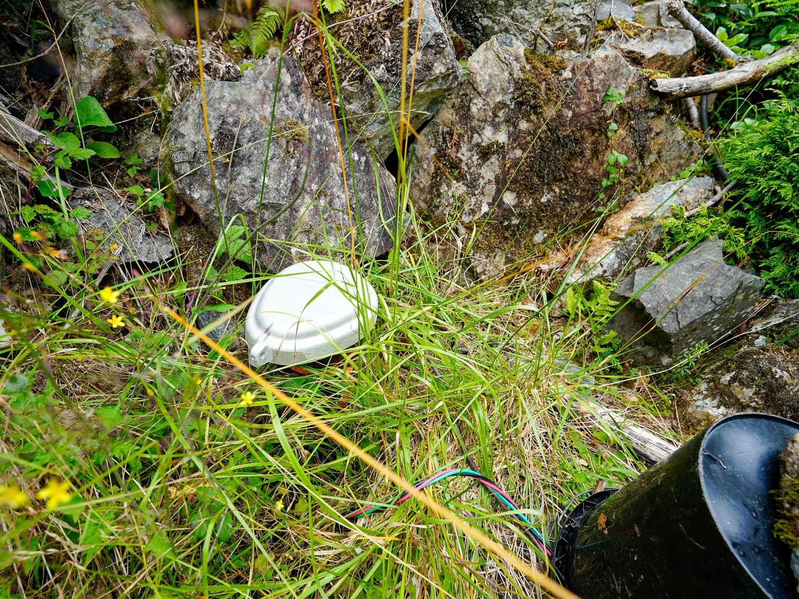 Listing Image 37