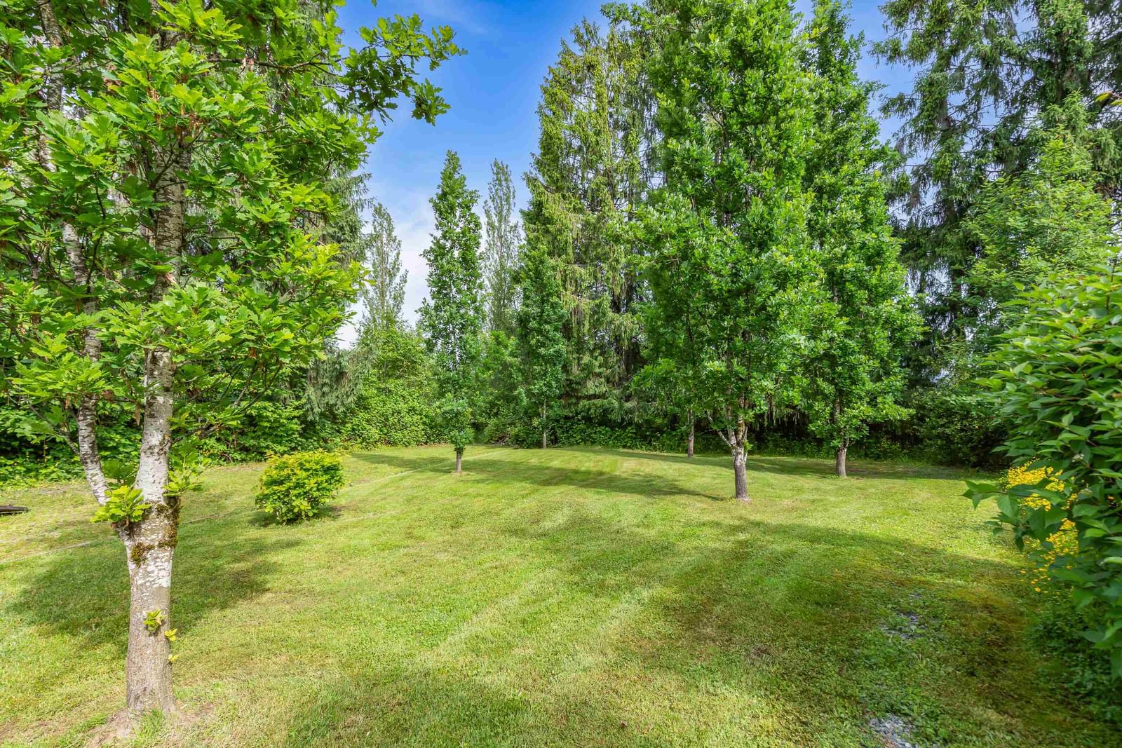 Listing Image 33