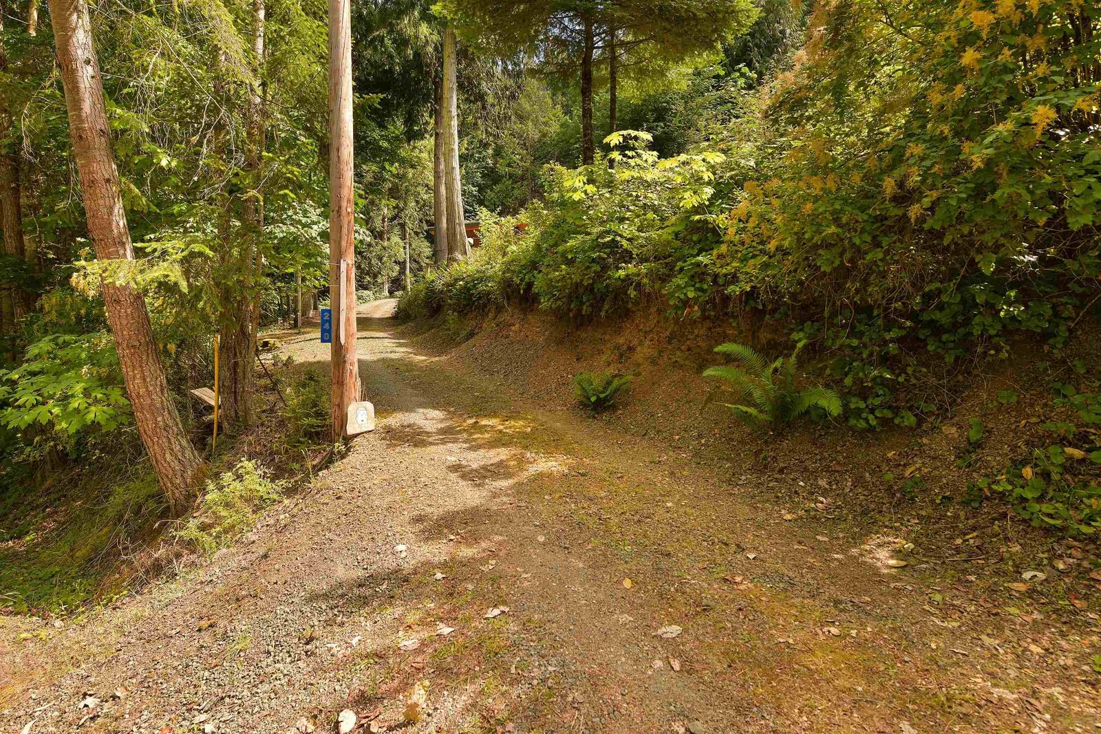 Listing Image 39