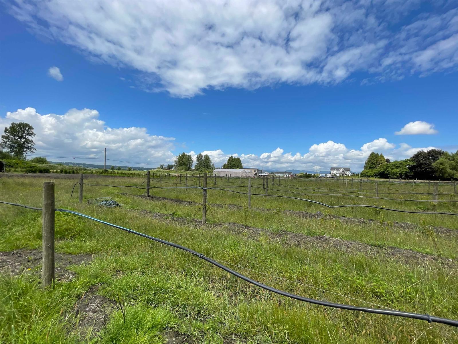Listing Image 24