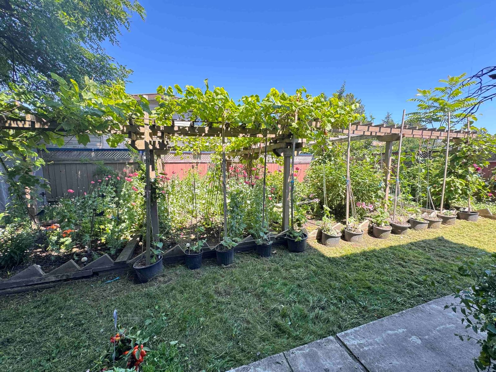 Listing Image 34