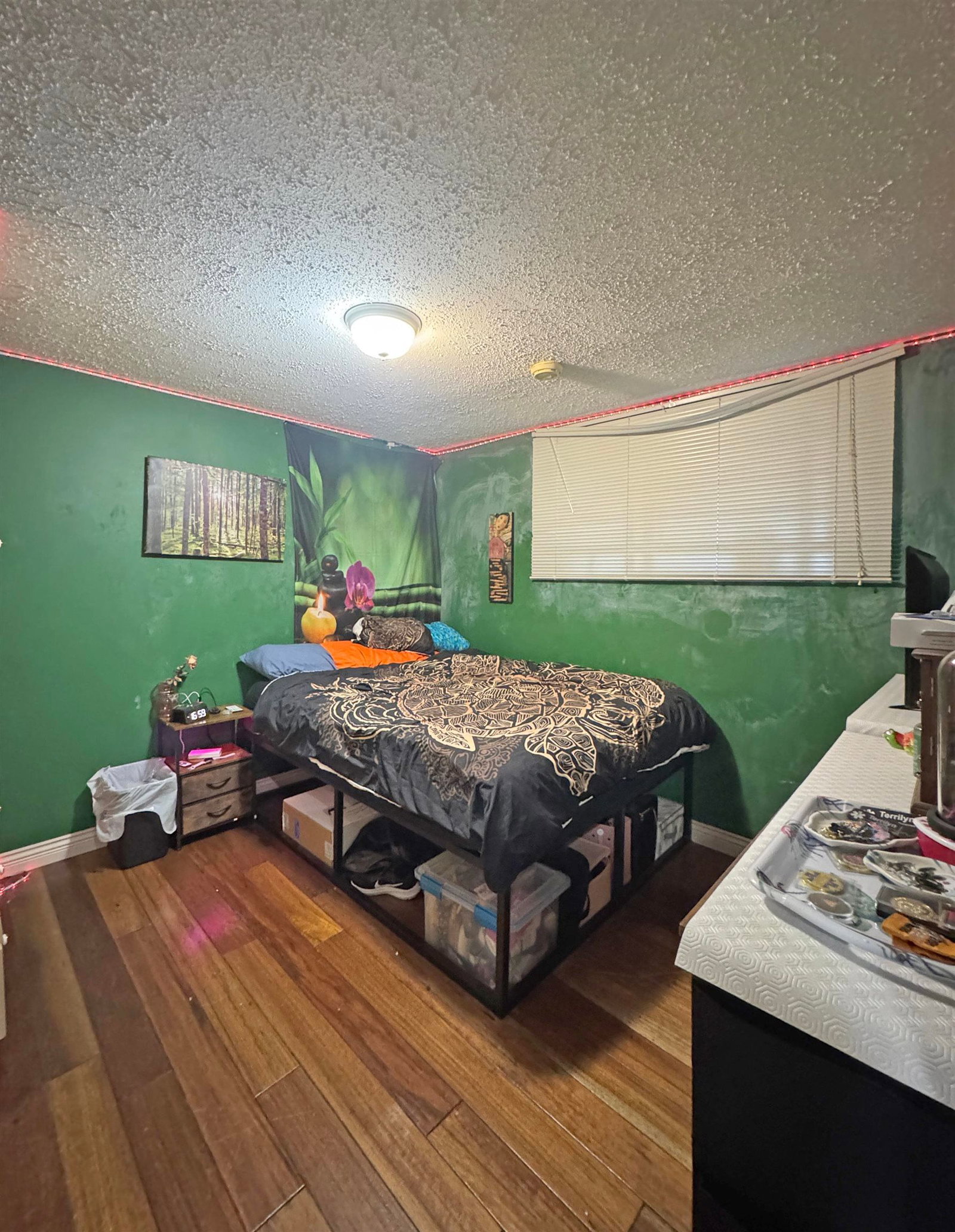 Listing Image 19