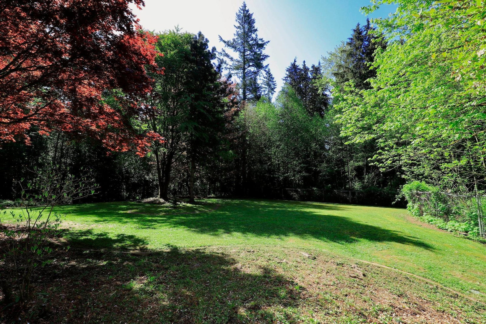 Listing Image 38
