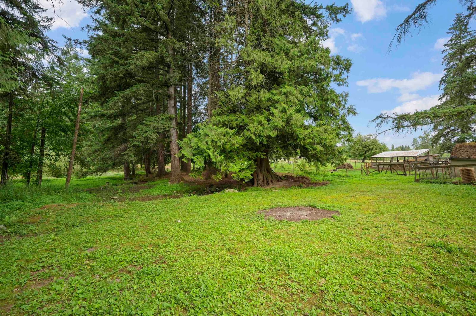 Listing Image 30