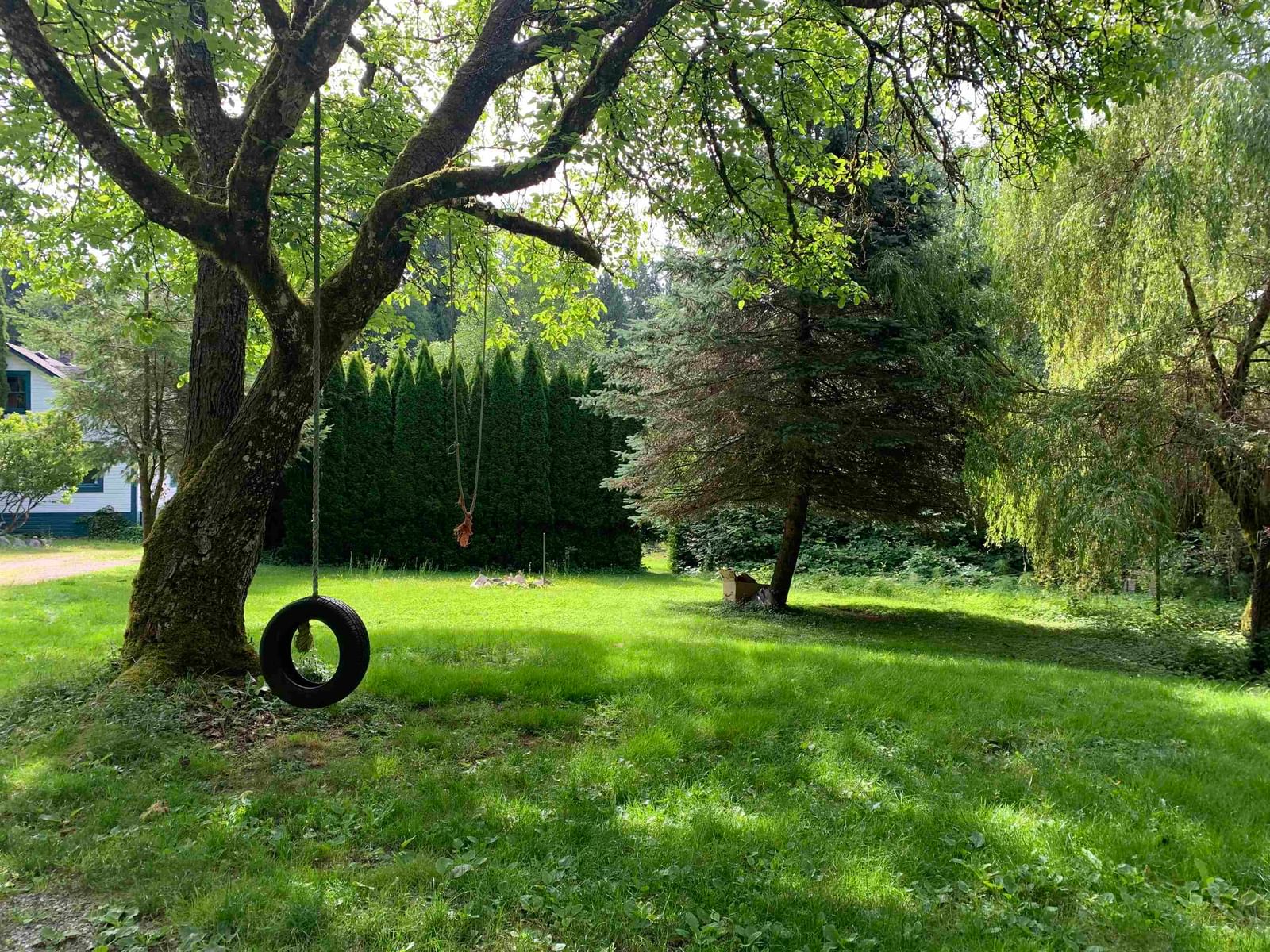 Listing Image 18