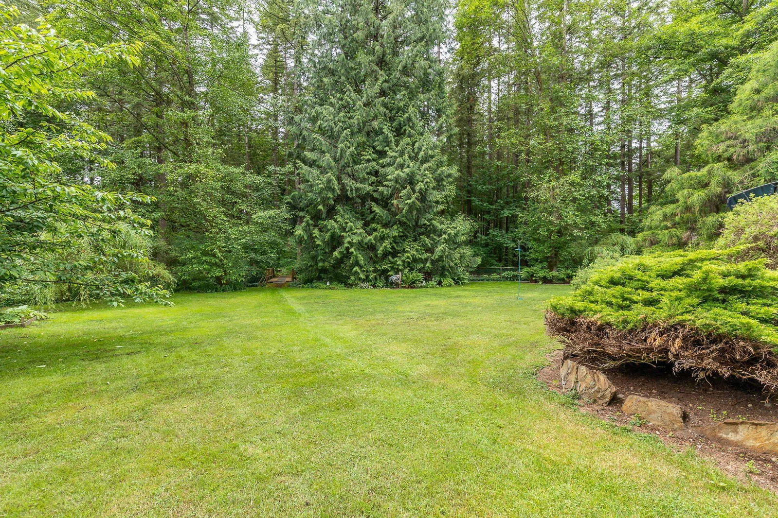 Listing Image 28