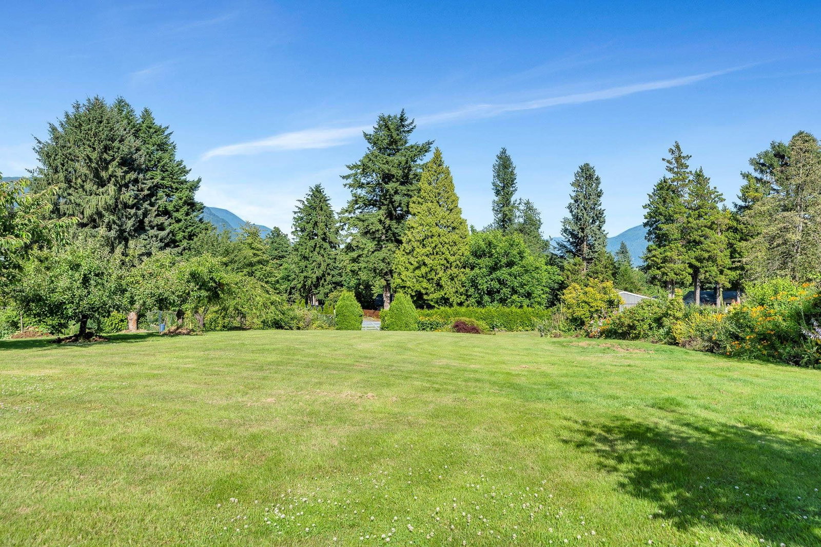 Listing Image 37