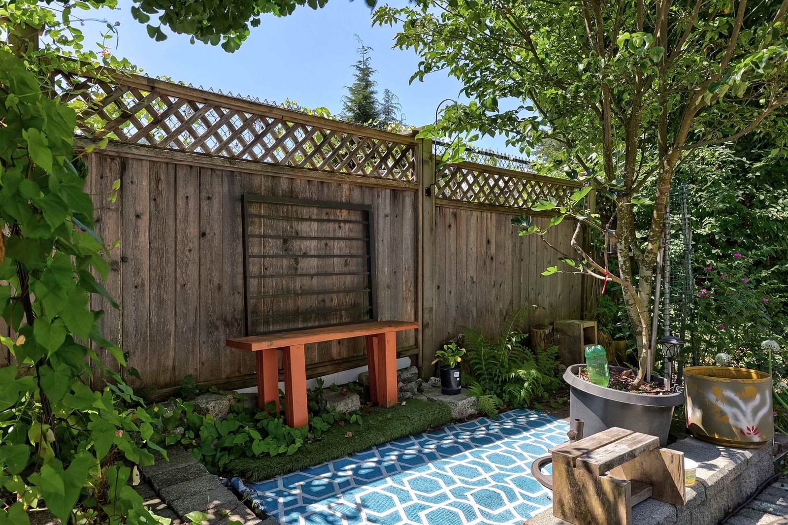 Listing Image 19