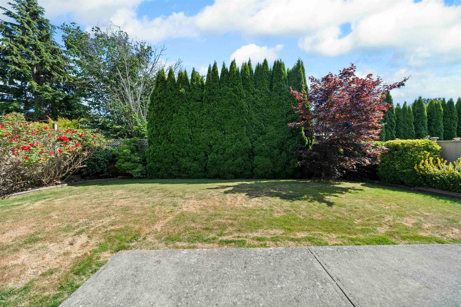 Listing Image 28