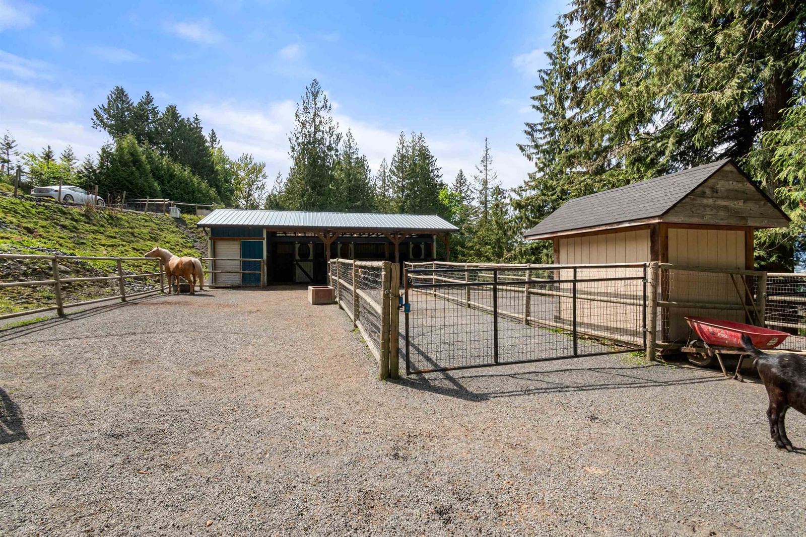 Listing Image 21