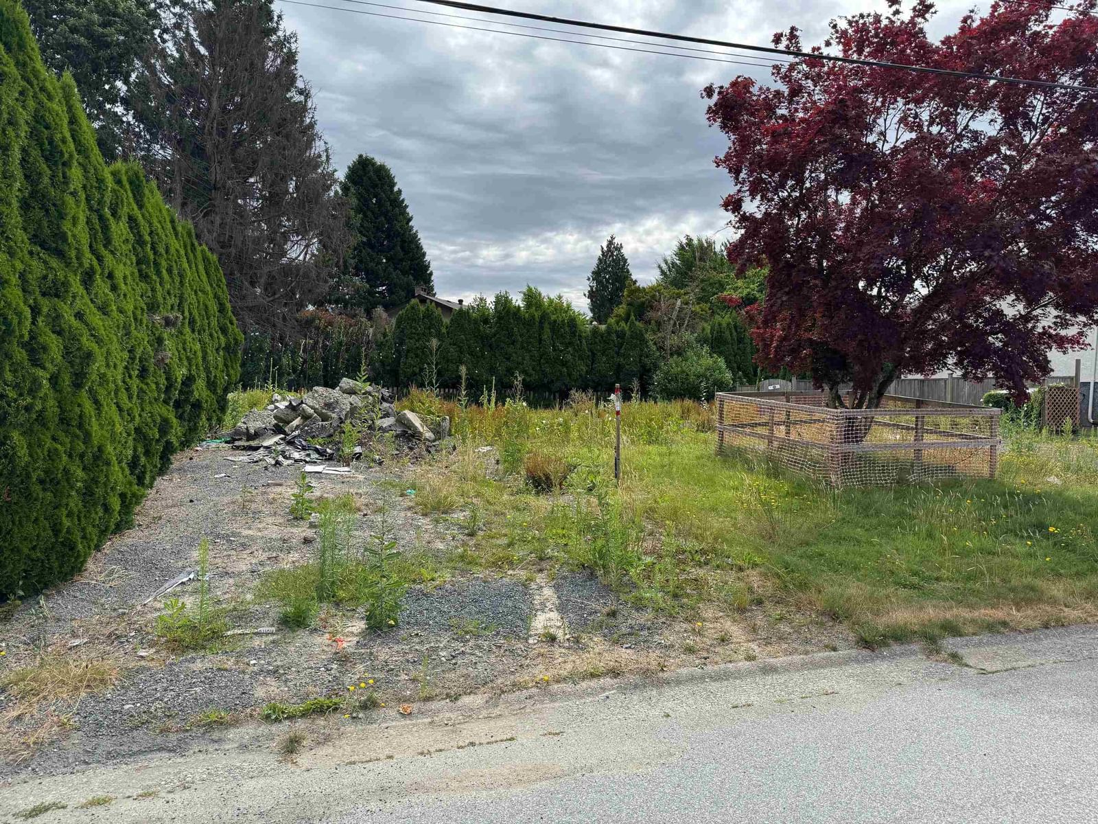 Listing Image 4
