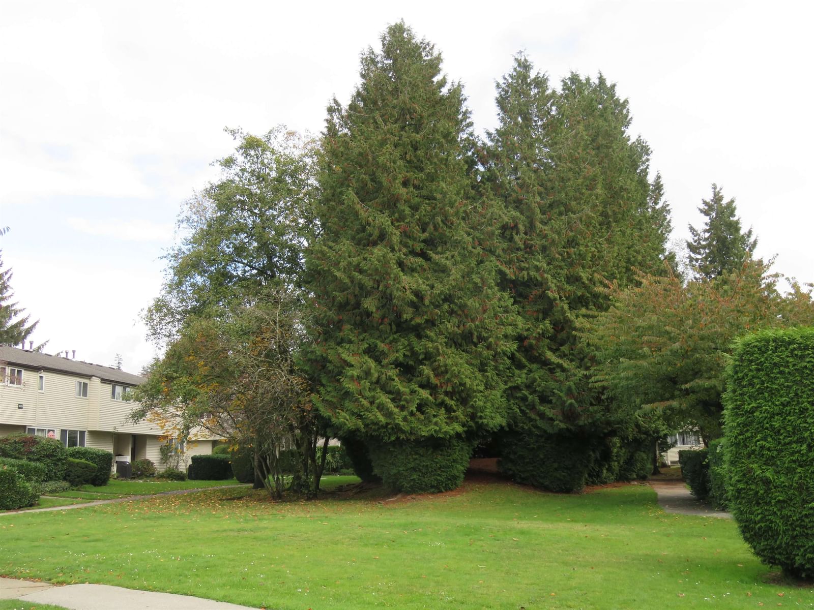 Listing Image 28