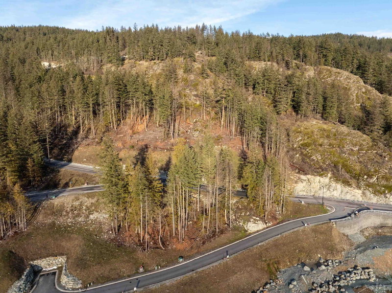 8200 Merlot Peak Drive, Pemberton, V0N 2L0 | Image 2