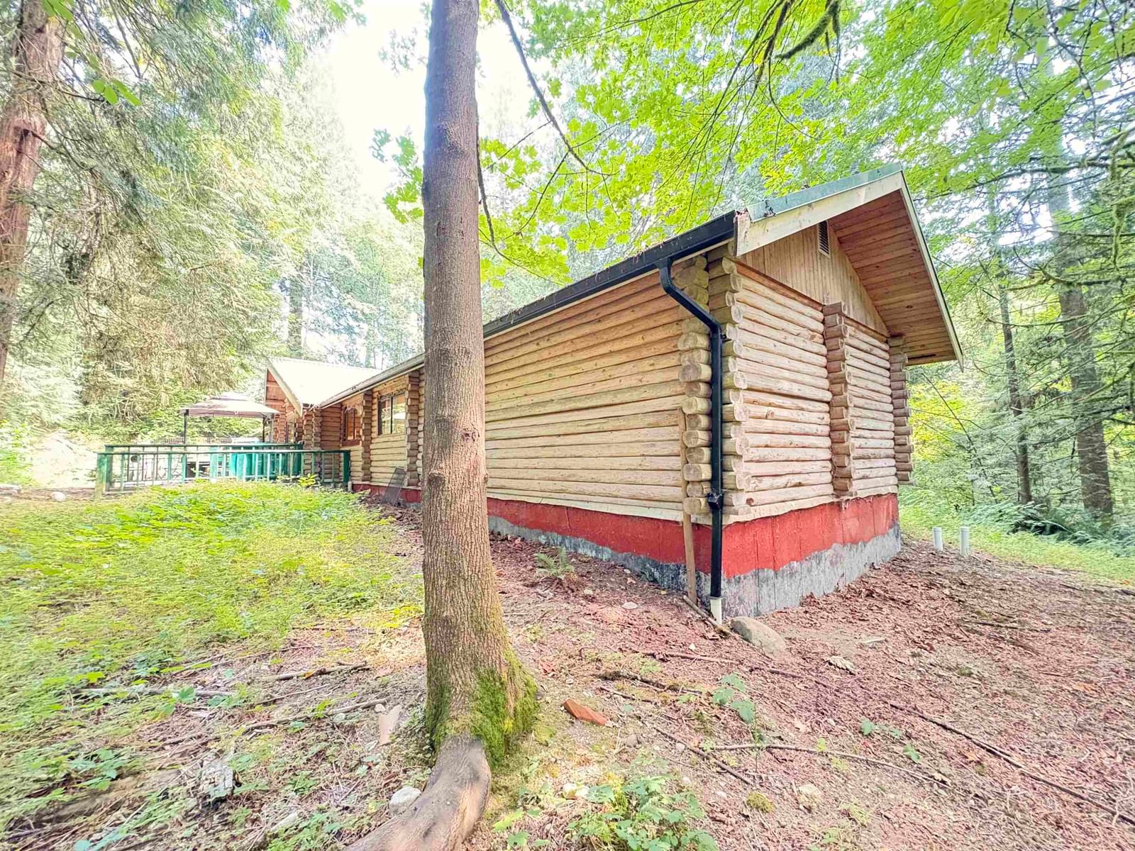 Listing Image 5