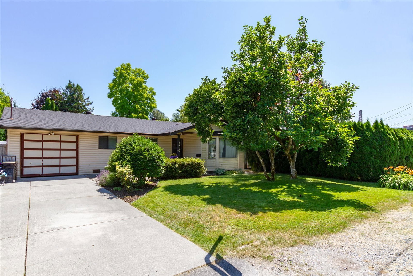 Listing Image 19