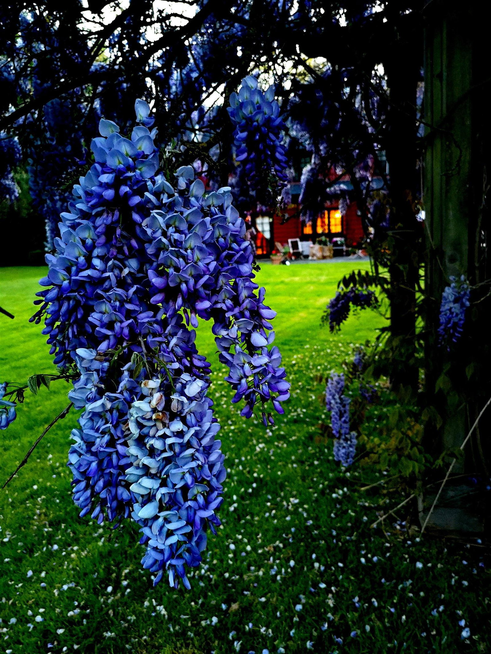 Listing Image 32