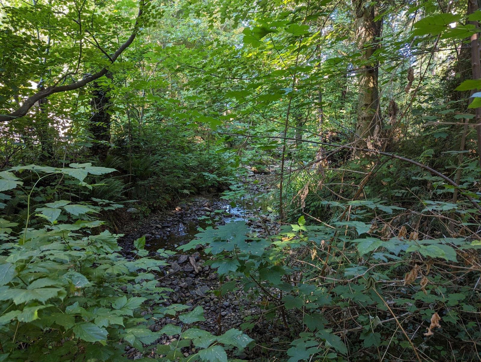 Listing Image 24