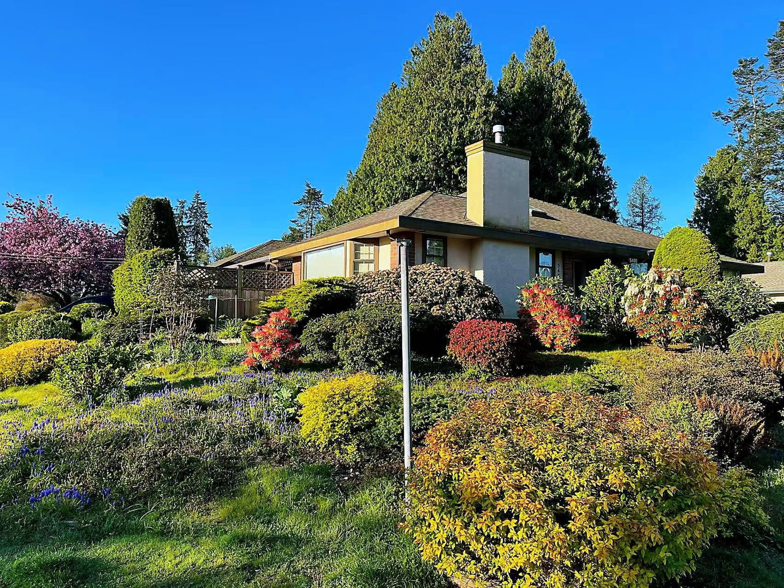 Listing Image 30