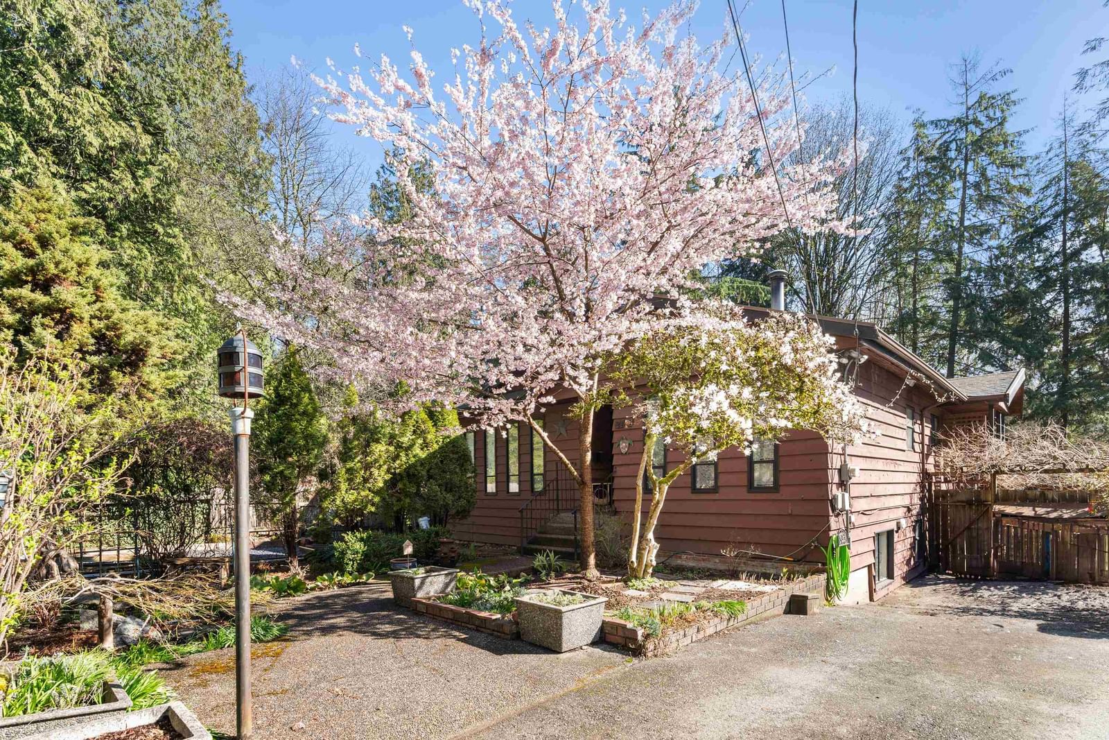 Listing Image 37
