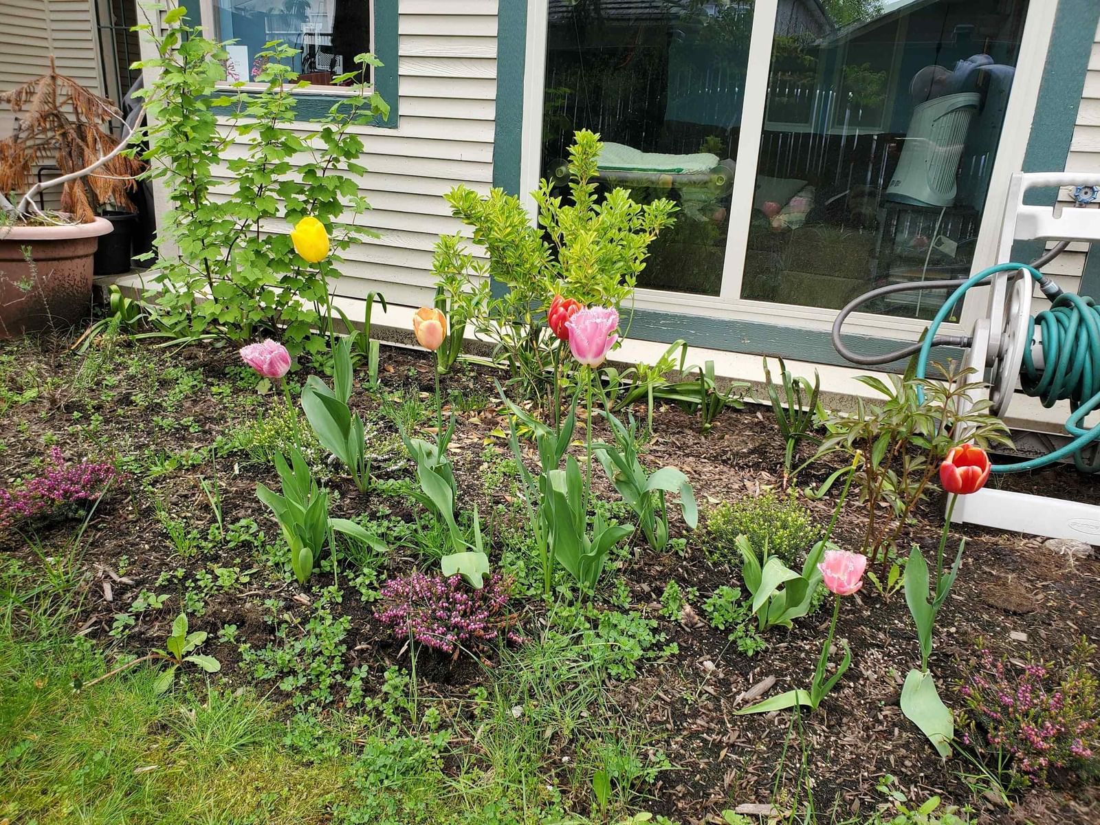 Listing Image 34