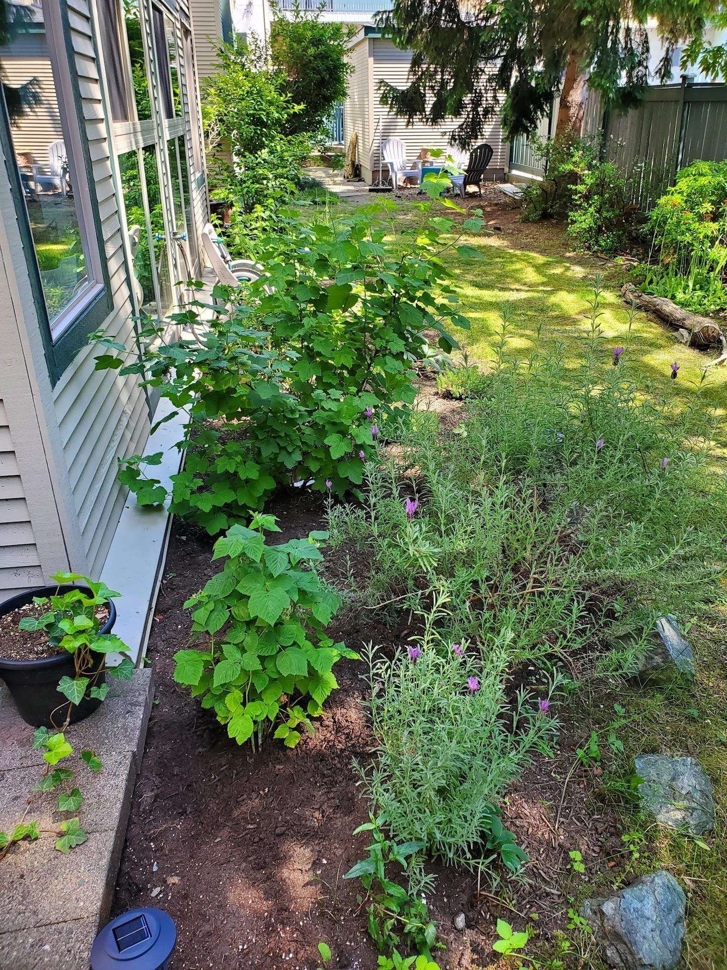 Listing Image 35