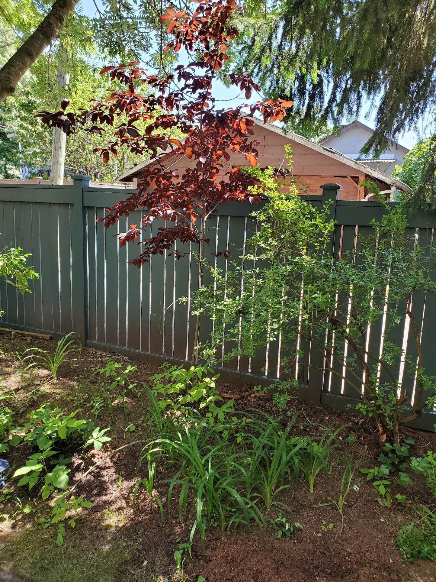 Listing Image 37