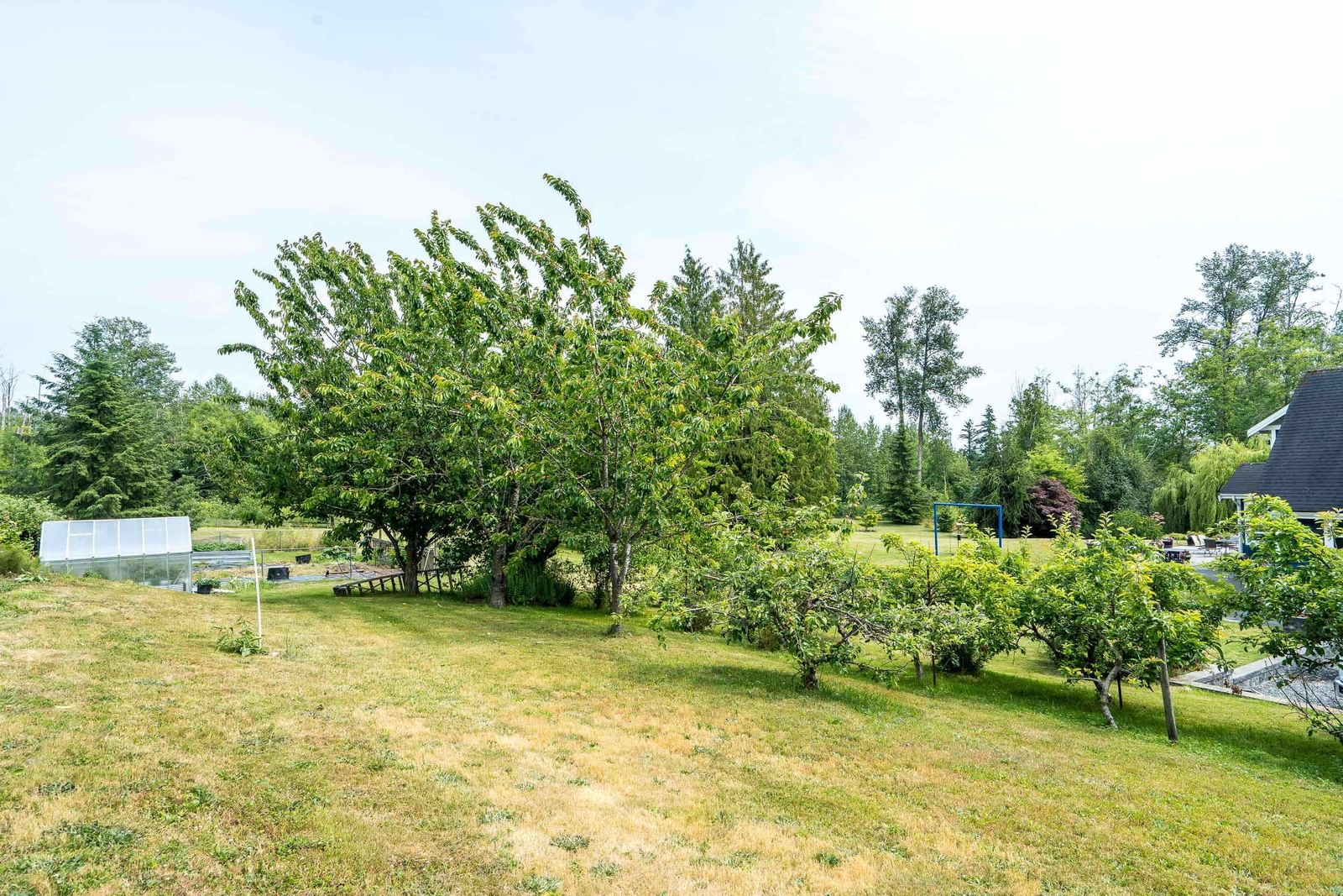 Listing Image 29