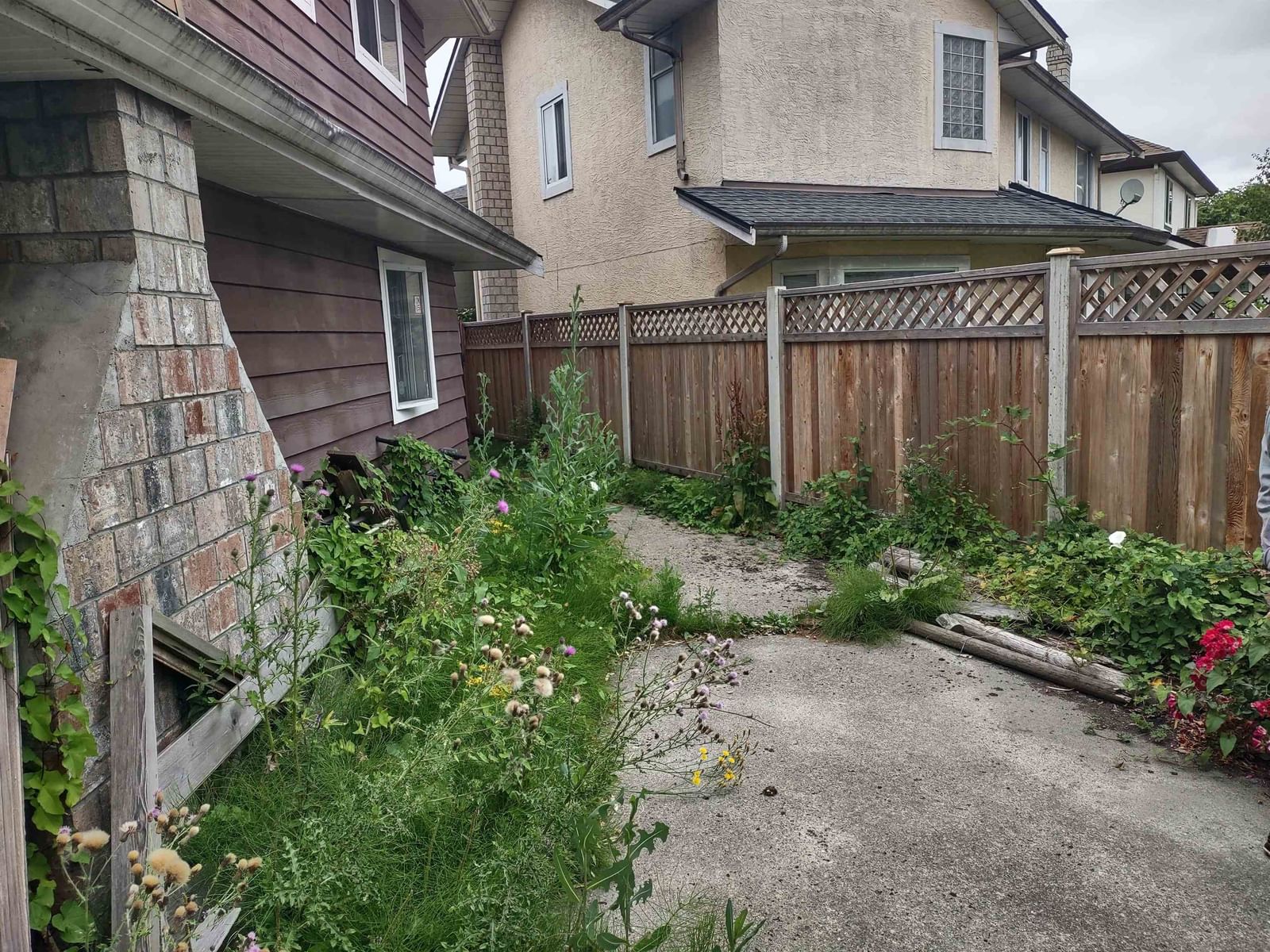 Listing Image 14