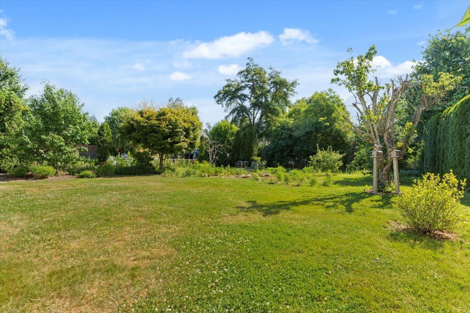 Listing Image 29