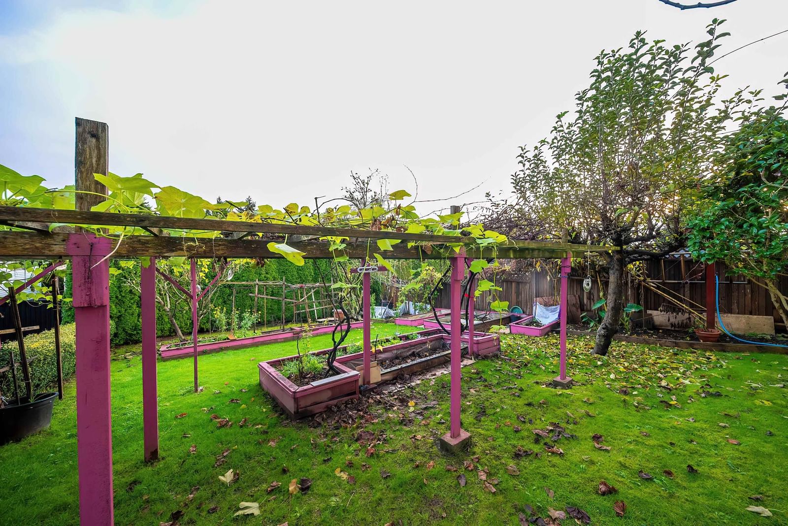 Listing Image 26