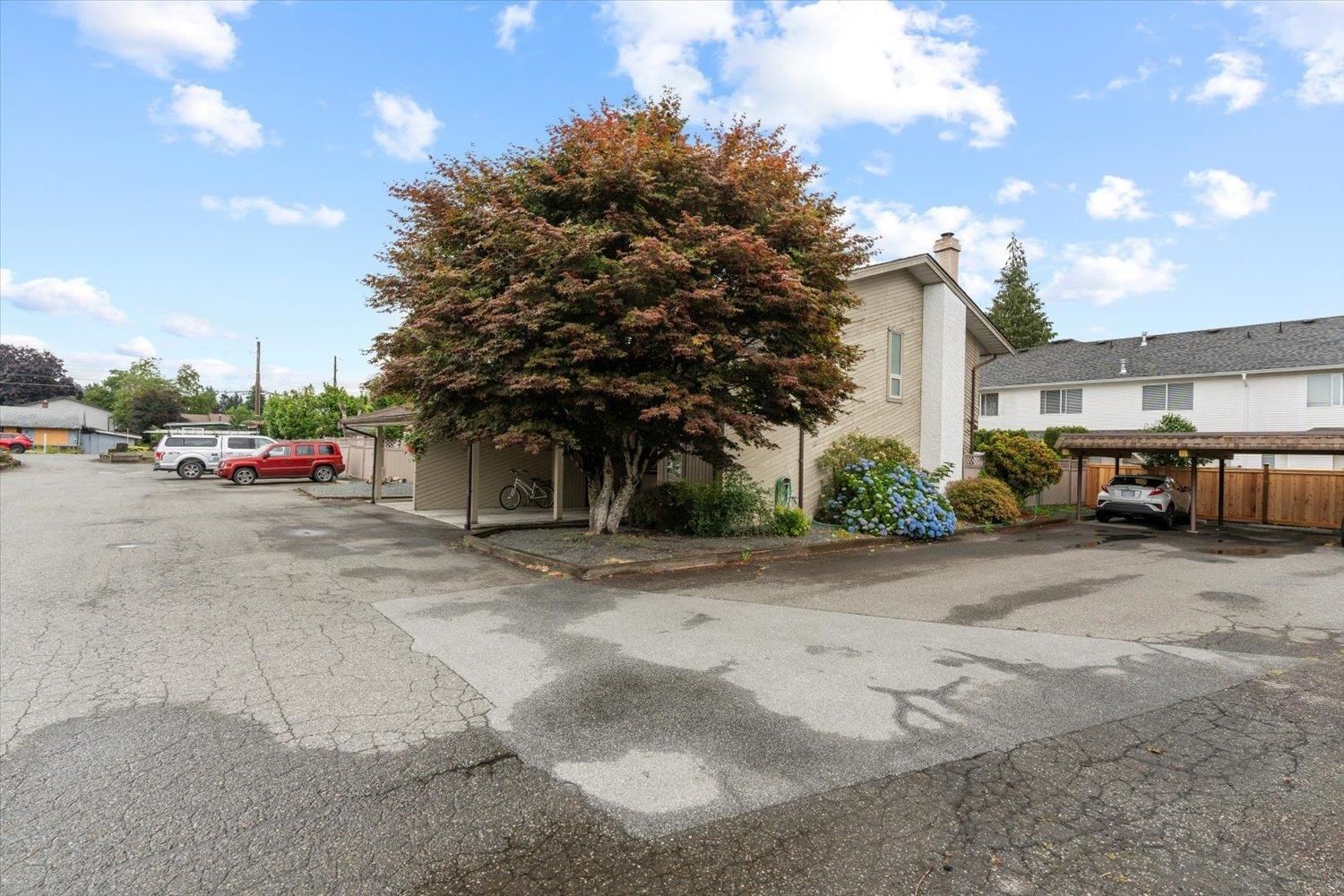 Listing Image 32