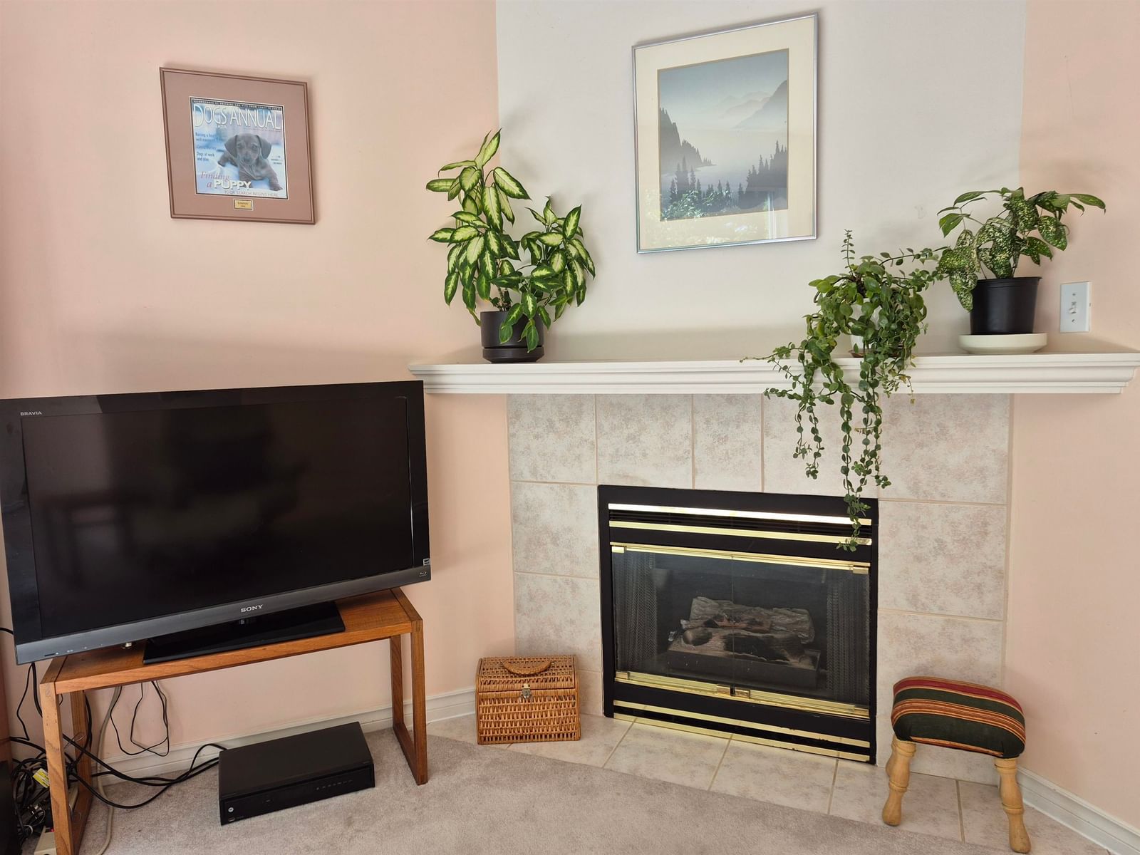 Listing Image 5