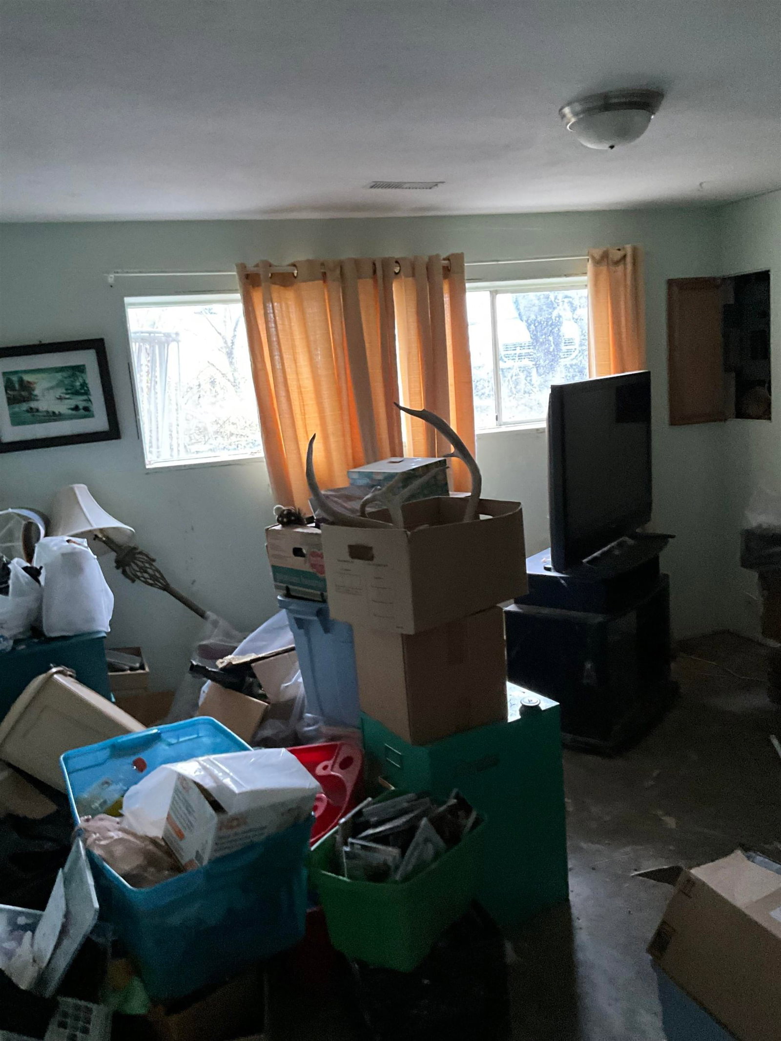 Listing Image 12