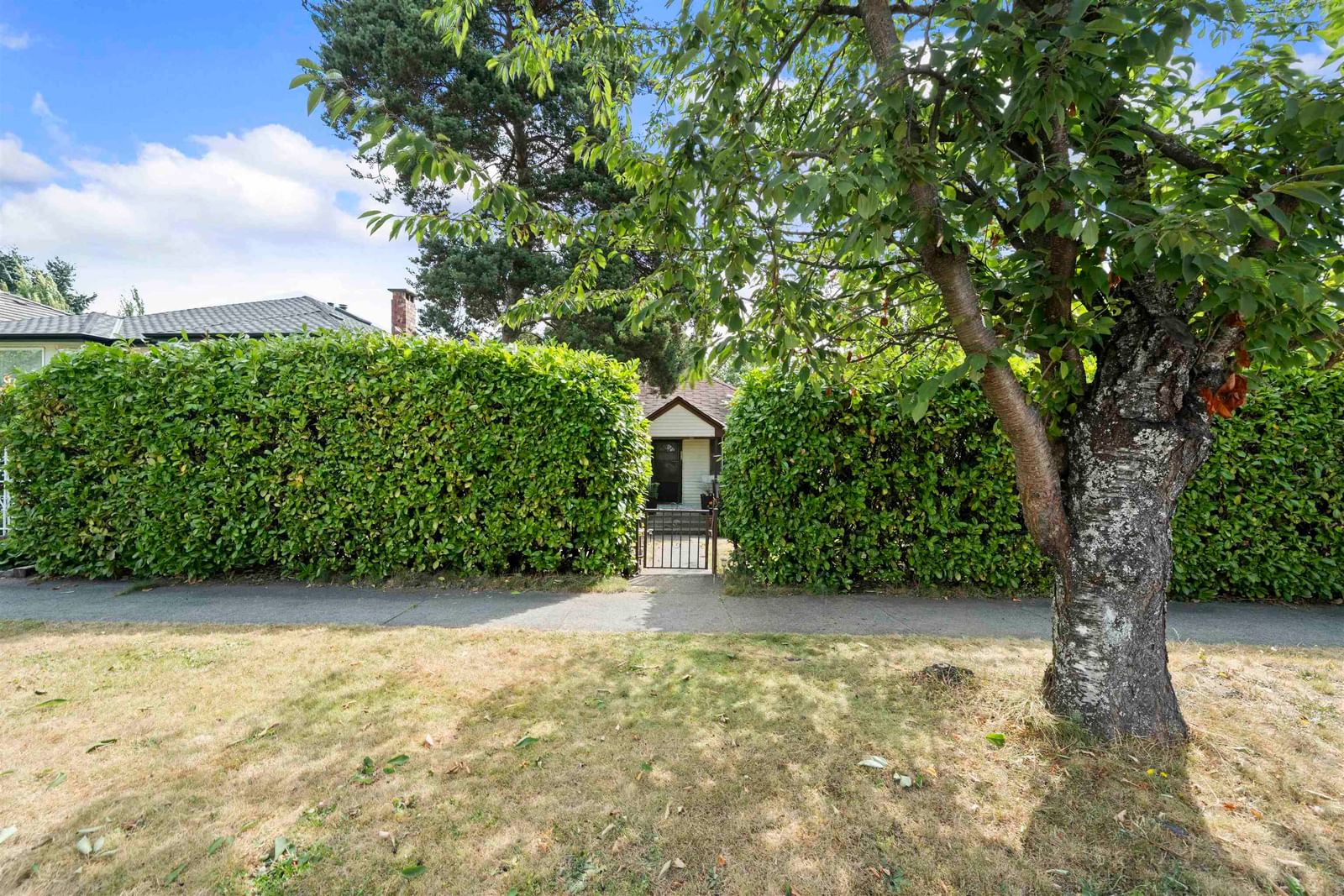Listing Image 6